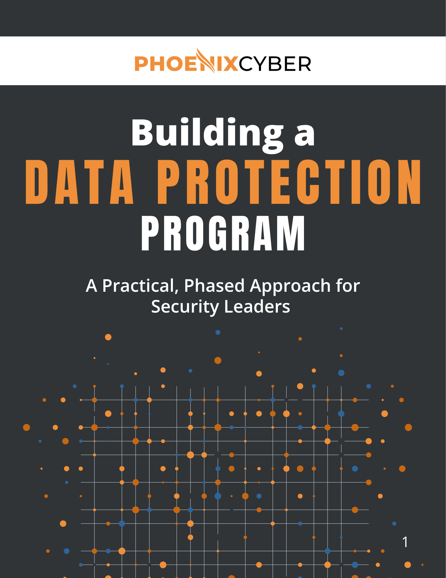 Building a Data Protection Program